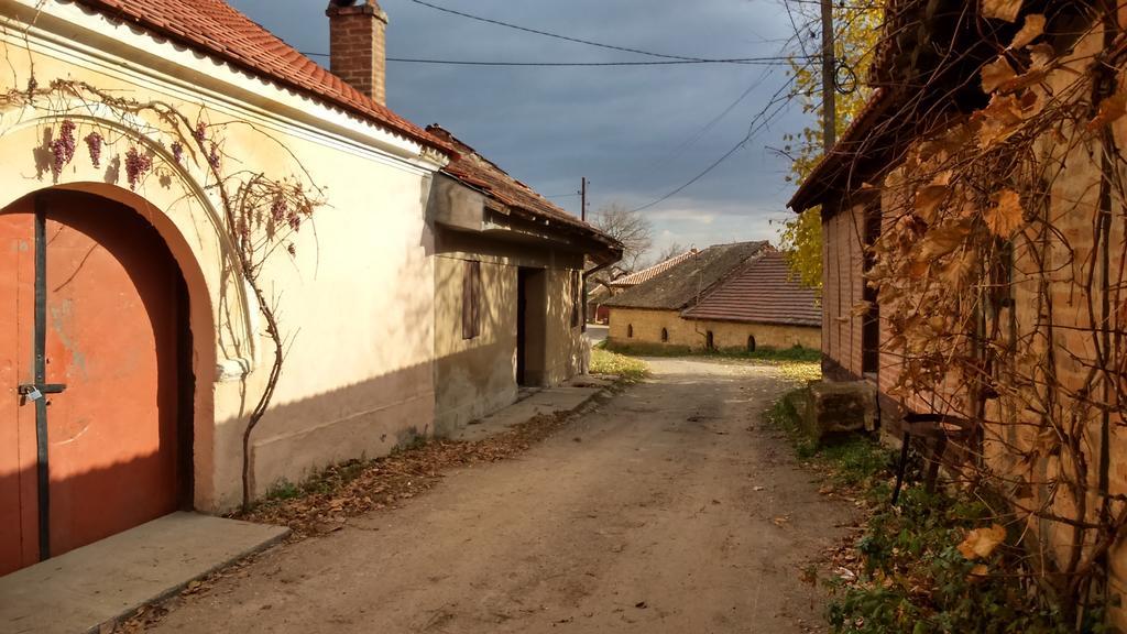 Country House Dunjin Konak Rogljevo Dış mekan fotoğraf