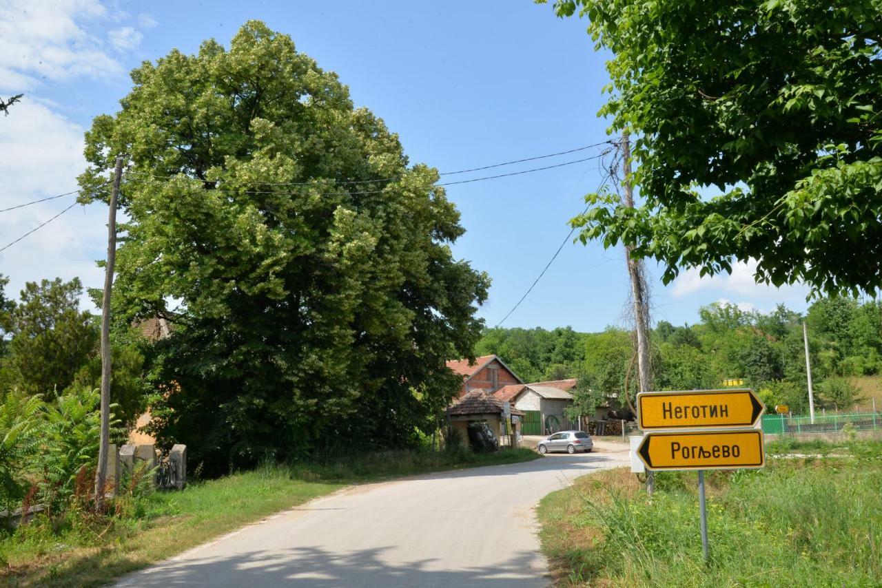 Country House Dunjin Konak Rogljevo Dış mekan fotoğraf