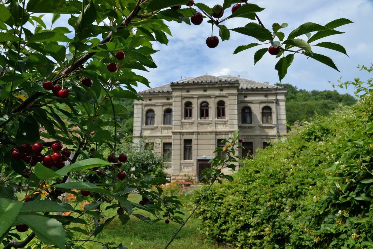 Country House Dunjin Konak Rogljevo Dış mekan fotoğraf