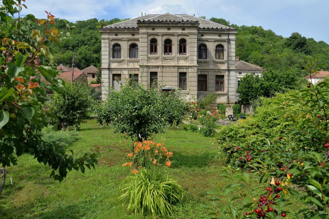 Country House Dunjin Konak Rogljevo Dış mekan fotoğraf