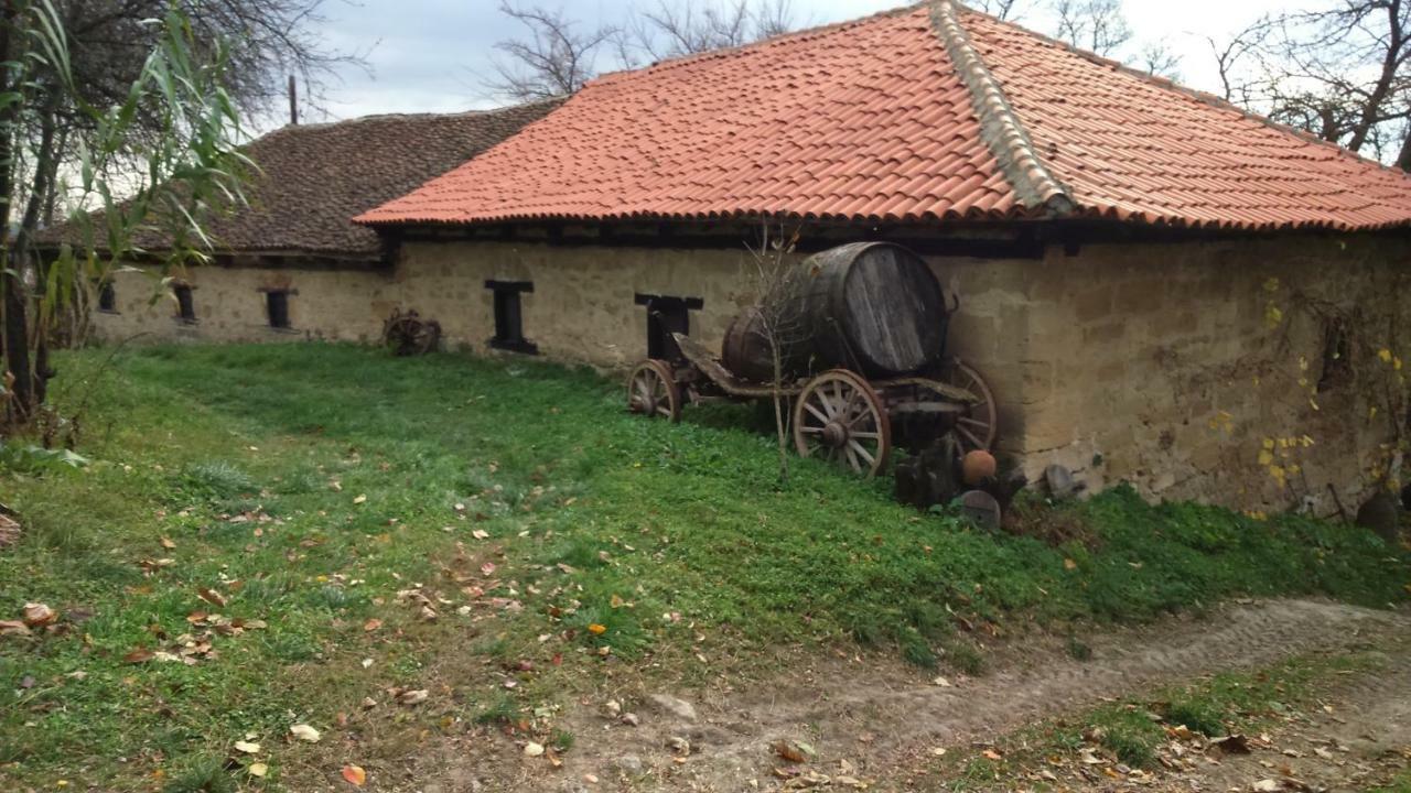Country House Dunjin Konak Rogljevo Dış mekan fotoğraf