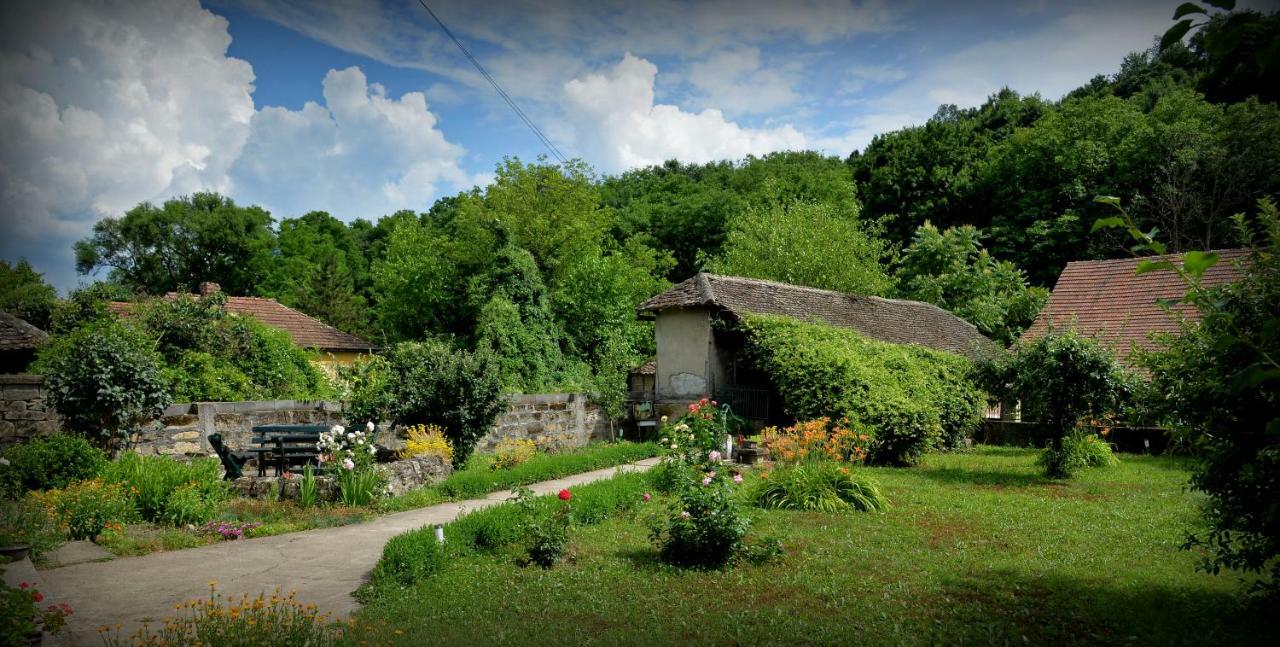 Country House Dunjin Konak Rogljevo Dış mekan fotoğraf
