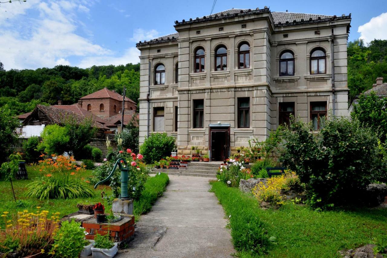 Country House Dunjin Konak Rogljevo Dış mekan fotoğraf