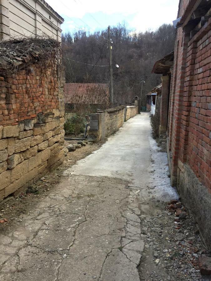 Country House Dunjin Konak Rogljevo Dış mekan fotoğraf